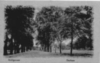 Dorfaue