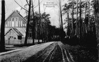 Waldpartie