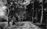Waldpartie