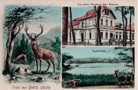 Gruss aus Beelitz (Mark)  Zur alten Försterei Max Blümke  Teufelssee