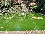 Ein Teich
