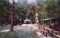 Wald