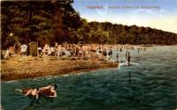 Familien Freibad bei Scharfenberg
